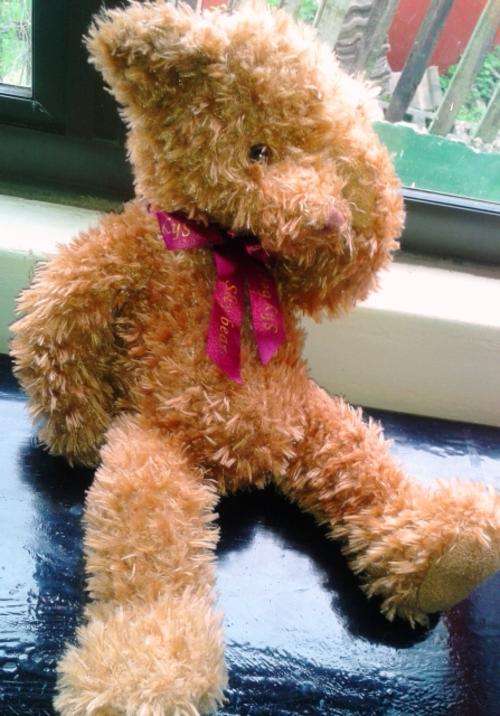 GUND Plush Shy Bear item 13065 - Gotta Get Gund!