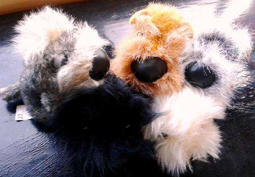 The Dog Big Head Artlist Collection.  5 Plush Toys - Accept no Copycats!