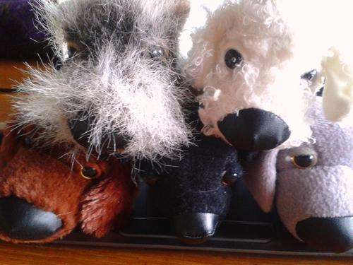 The Dog Big Head Artlist Collection.  20 Plush Toys - Accept no Copycats!