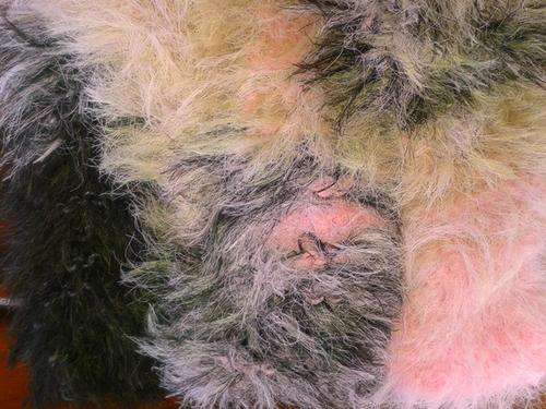 Fuzzy pink & brown teenage scarf!  Beautiful!