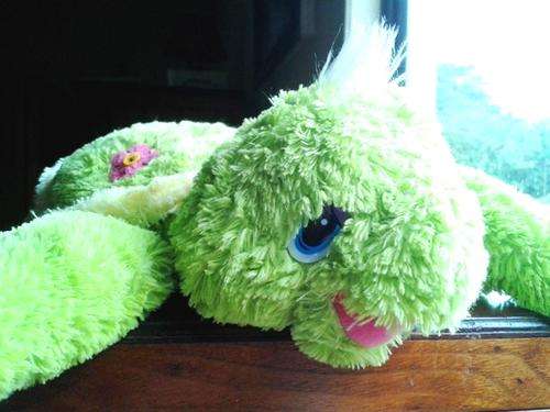 Tammy the Turtle!  Adorable!