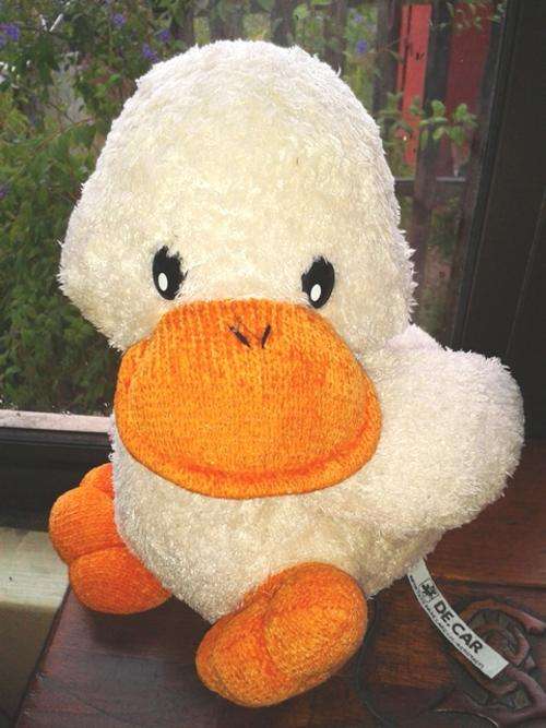 Quack the Duck!  Adorable soft toy!