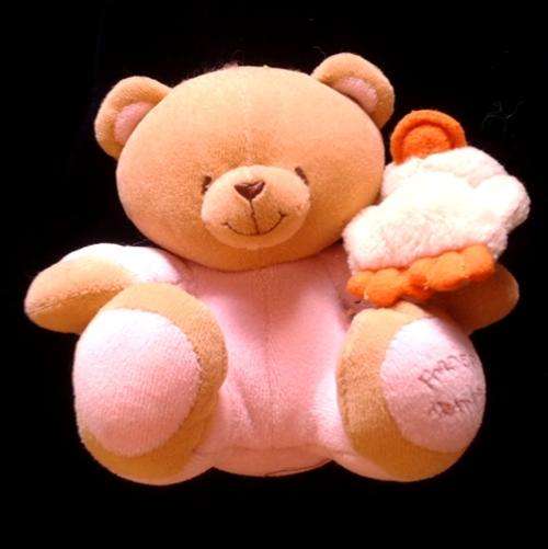 Forever Friends little teddy with duck friend!