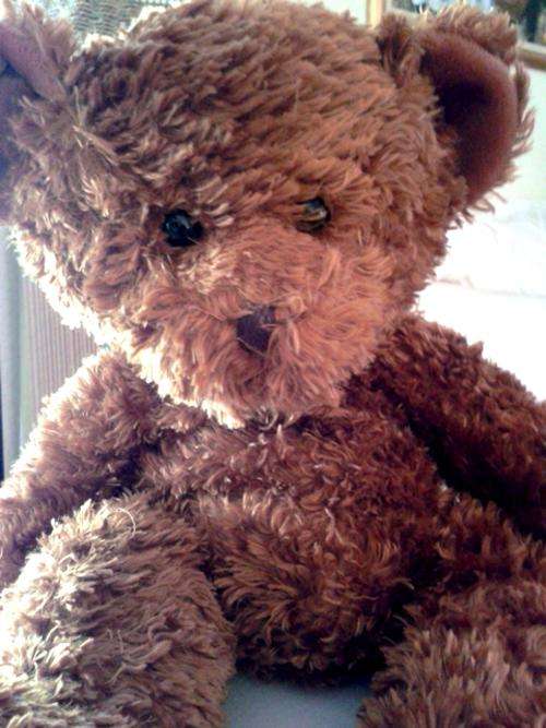 Honeyfitz - Russ Berrie Curly Plush Brown Bear. Item no 4202.