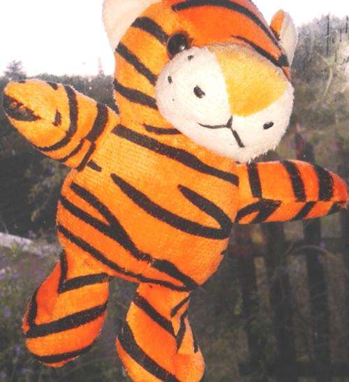Cute little soft Tiger!