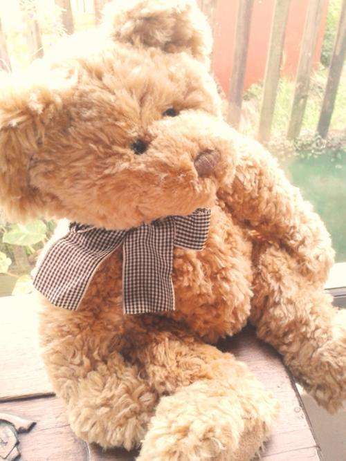 Russ Berrie Bear. Chubbie. Gorgeous!