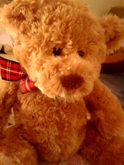 Russ Berrie - Tanner!  Collectable Bear!  Item no 33096.  Look at this face!!!!