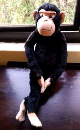 Large Monkey Soft Toy!