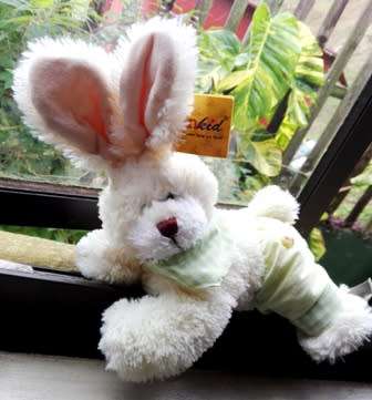 Benny the gorgeous Sunkid, soft bunny with funky ears!