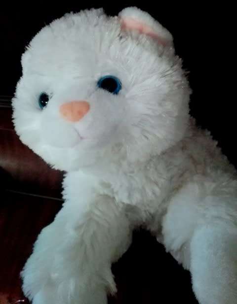 Beautiful Plush White Cat with Pouch.  35cm.