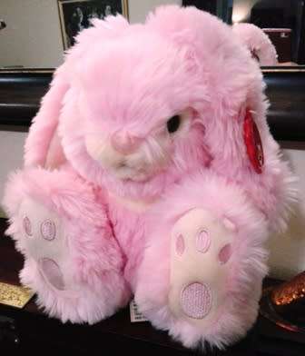 Cuddles, the softest, cutest bunny ever!  Keel Toys!