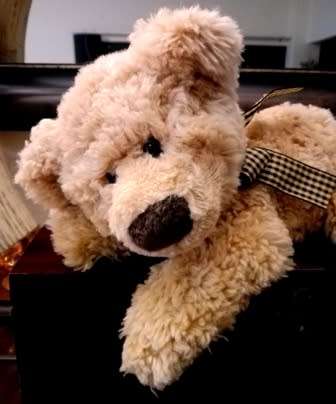 Russ Berrie Nickelby Bear - Item no 24288. Adorable Little Bear!