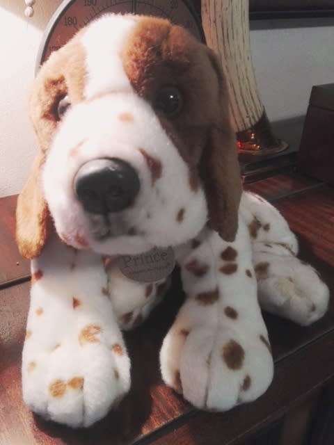 "Prince" Keel Dog Toy. Simply Soft Collection!  40cm.