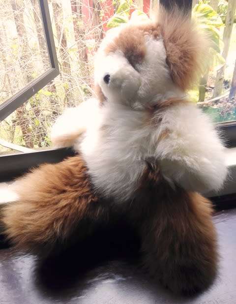 One of a Kind! Charleston`s Teddy Bear Handmade by Native Americans in Peru. Plush 100% Alpaca Fur.
