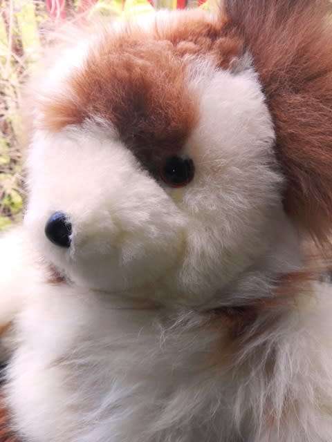 One of a Kind! Charleston`s Teddy Bear Handmade by Native Americans in Peru. Plush 100% Alpaca Fur.