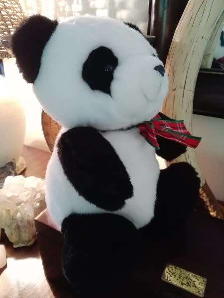 Beautiful little Ming, the panda.  Plush soft toy!  25cm.