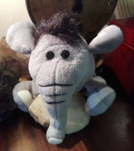 Funky Fritzy the Elephant.  Beautiful Little Squeaky Toy!  15cm.