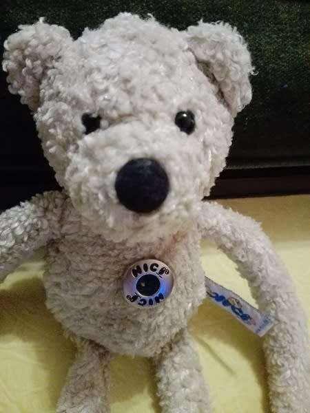 Curly Sue the Teddy Bear with Long Arms.  A Plush Nici Soft Toy with Tummy Button.