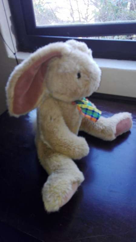 Hoppity the Bunny.  Super soft toy.  55cm.