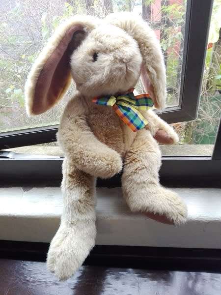 Hoppity the Bunny.  Super soft toy.  55cm.