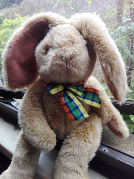 Hoppity the Bunny.  Super soft toy.  55cm.