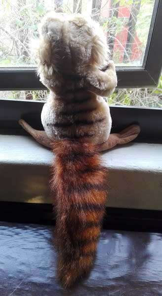 Scrat Squirrel from Ice Age. Cuteness!