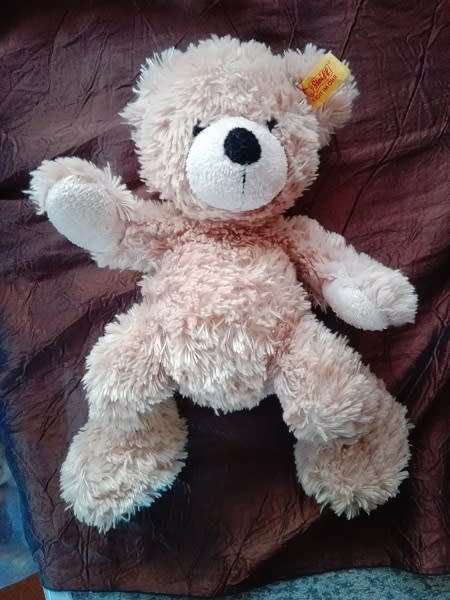 Fynn Teddy Bear.  A Beautiful, Soft Plush Toy.  25cm.  Cheap Price!