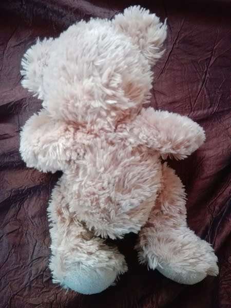 Fynn Teddy Bear.  A Beautiful, Soft Plush Toy.  25cm.  Cheap Price!