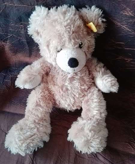 Fynn Teddy Bear.  A Beautiful, Soft Plush Toy.  25cm.  Cheap Price!