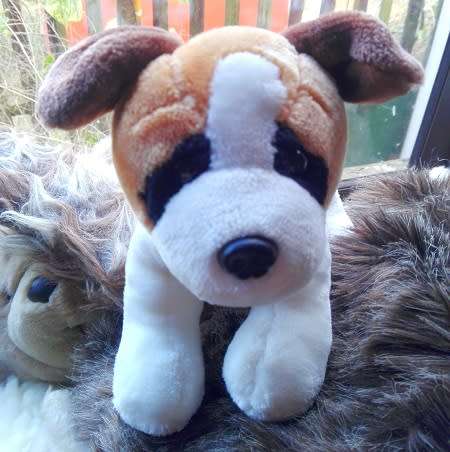 Trokkie the Puppy dog!  Plush Soft Toy!