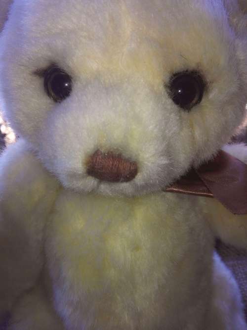 Becky the Bear!  A Plush, Beautiful Jointed Bear.  35cm.