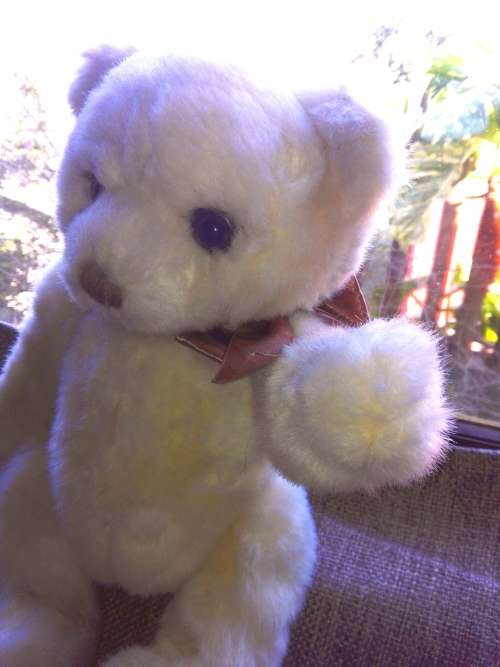 Becky the Bear!  A Plush, Beautiful Jointed Bear.  35cm.