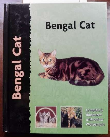 Bengal Cat by Dennis Kelsey-Wood.  Completely Illustrated with Colour Photographs.