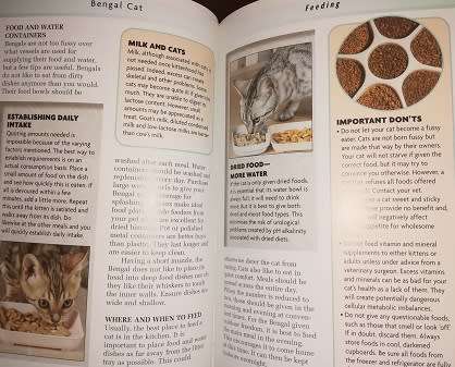 Bengal Cat by Dennis Kelsey-Wood.  Completely Illustrated with Colour Photographs.