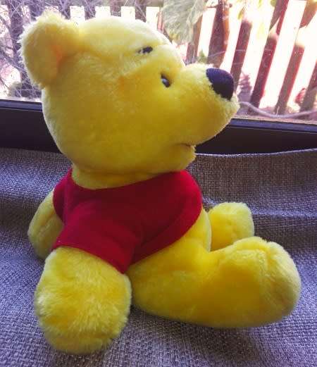 Winnie the Pooh with Volksbank T-Shirt.  Cuteness!