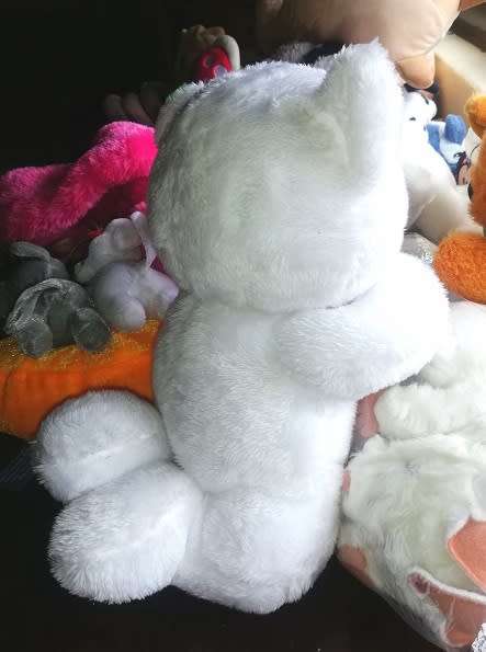 Pixi the Praying Teddy Bear!  Cute and Cuddly Companion.