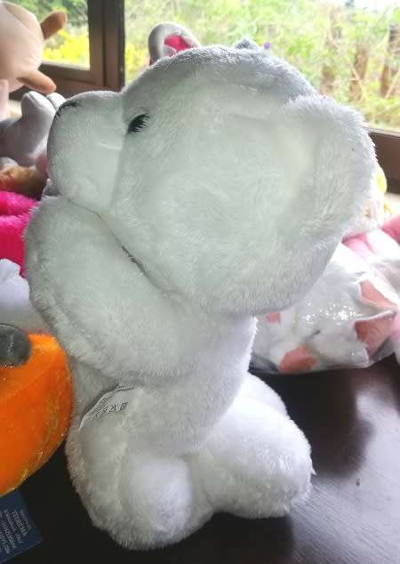 Pixi the Praying Teddy Bear!  Cute and Cuddly Companion.