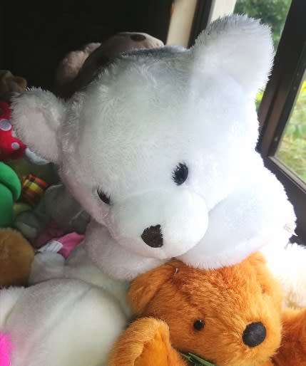 Pixi the Praying Teddy Bear!  Cute and Cuddly Companion.