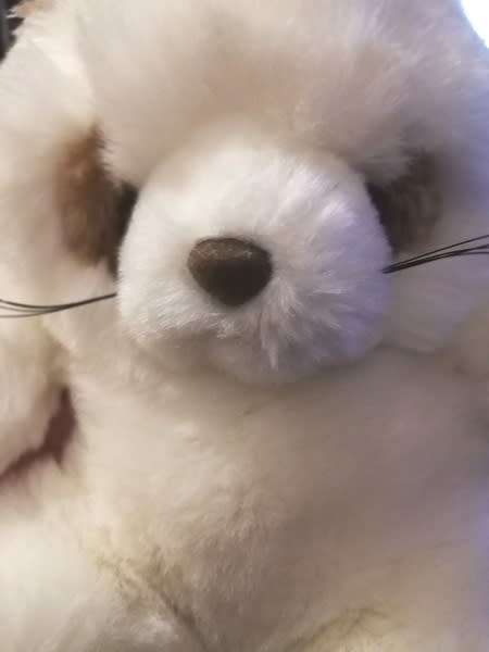Rocky the Raccoon.  A Beautiful White Plush Soft Toy.  25cm.