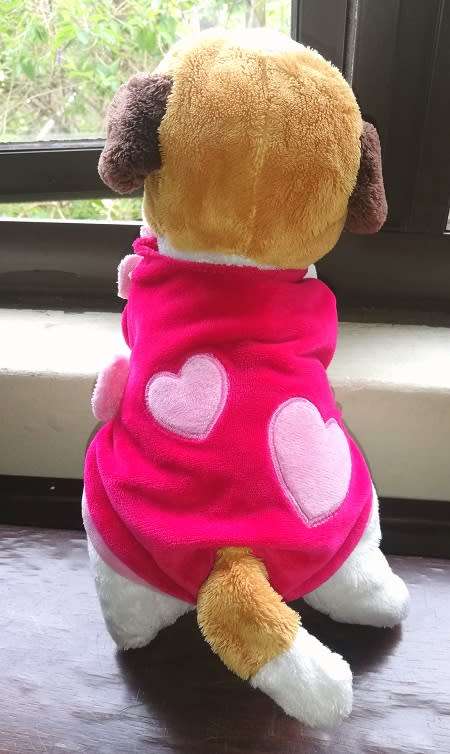 Wet nose Bibi the puppy with winter jacket!  Plush & Company soft toy!  Beautiful!