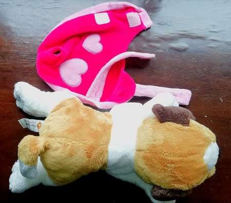 Wet nose Bibi the puppy with winter jacket!  Plush & Company soft toy!  Beautiful!