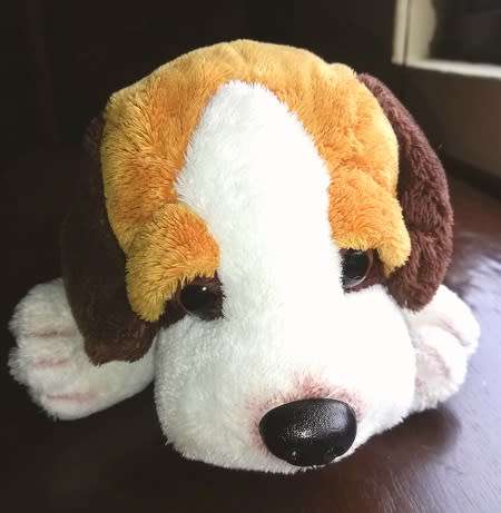 Wet nose Bibi the puppy with winter jacket!  Plush & Company soft toy!  Beautiful!