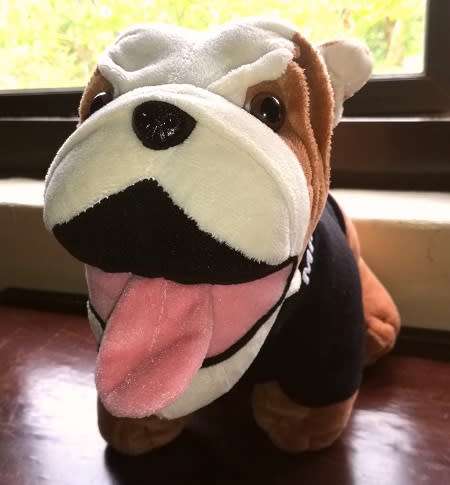 RARE MINI Genuine Bulldog. Branded soft plush toy.  Fun, Fun, Fun!