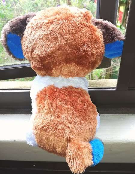 Duke, the big, sparkly eyed. Plush soft toy from TY. 22cm.