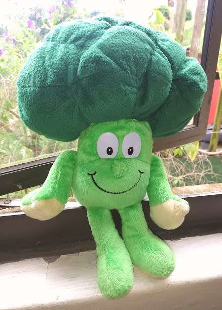 The Goodness Gang.  Bobbi Broccoli the Plush Soft Toy.  33cm.
