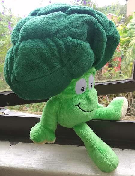 The Goodness Gang.  Bobbi Broccoli the Plush Soft Toy.  33cm.
