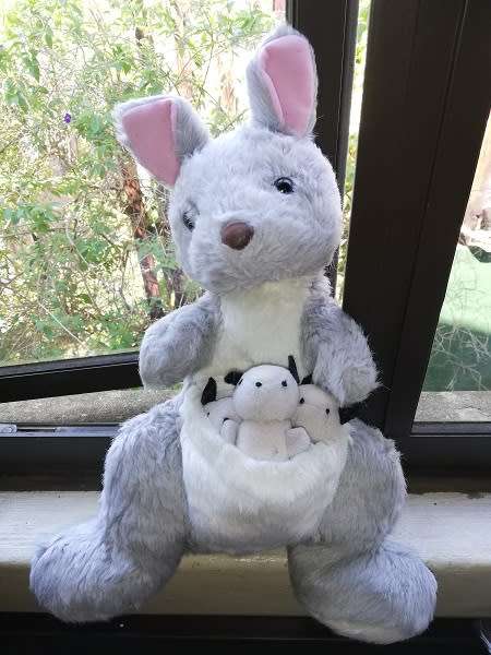 A RARE Vintage Mommy Kangaroo with 3 babies in pouch.  42cm.