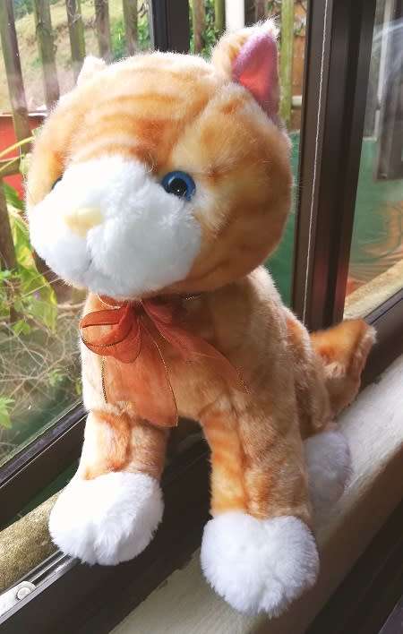 Ginger Snapps the Beautiful plush, large cat. 32cm. Cheap!