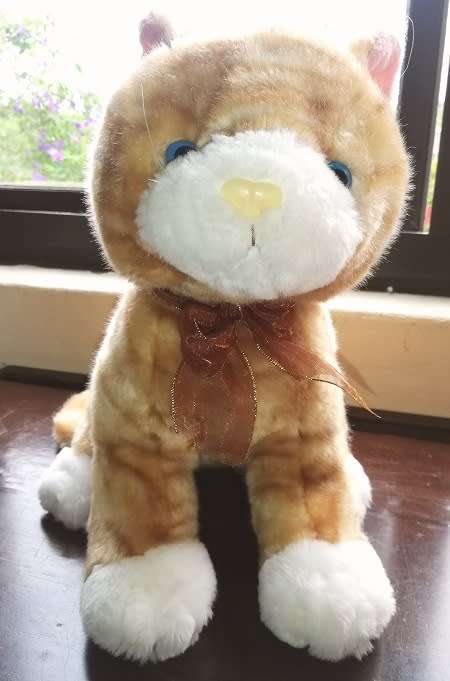 Ginger Snapps the Beautiful plush, large cat. 32cm. Cheap!