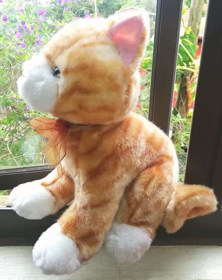 Ginger Snapps the Beautiful plush, large cat. 32cm. Cheap!